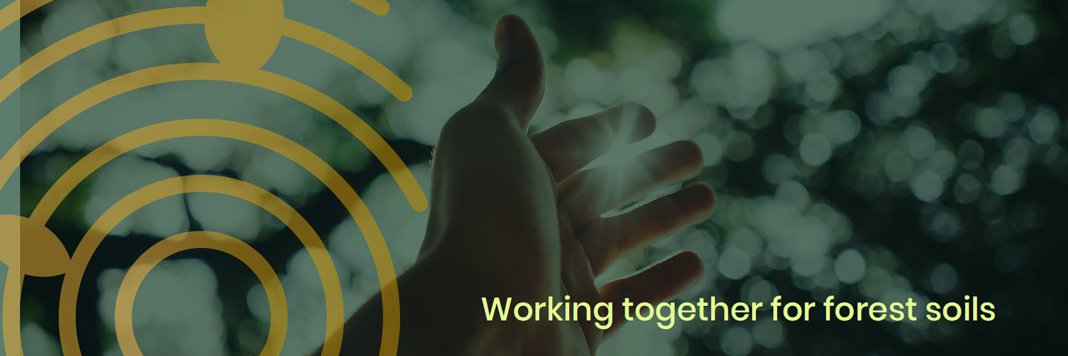 HoliSoils Project 🇪🇺 banner