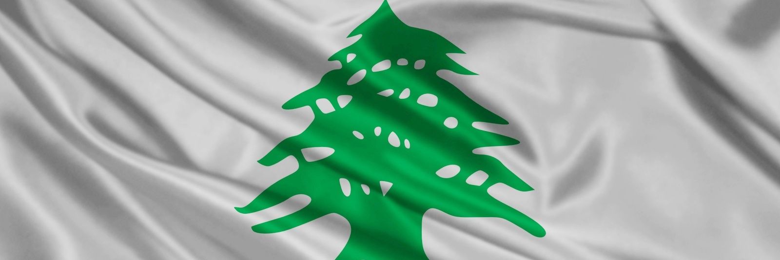 Salim banner