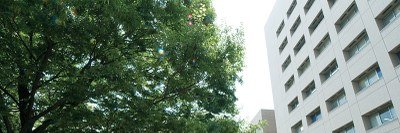 熊本大学大学院医学教育部Graduate School of Medical Sciences KU banner