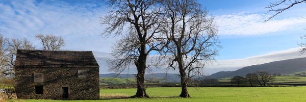 JBwillow Profile Banner