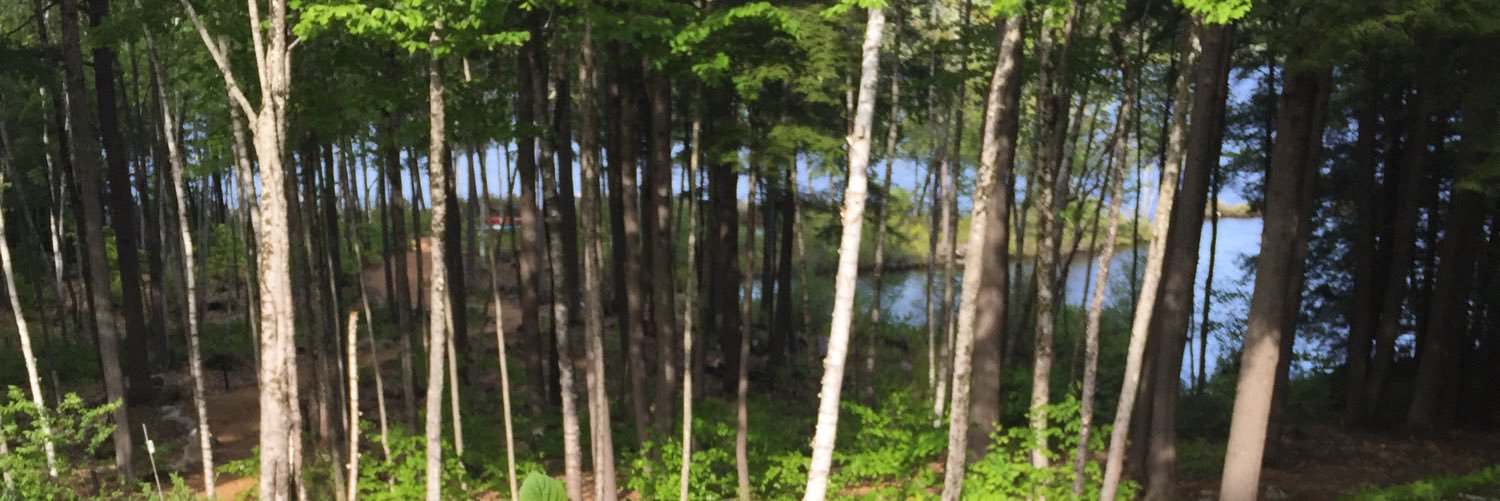 tfeeley92's profile banner image