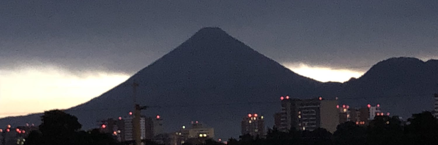 Italo Maselli banner