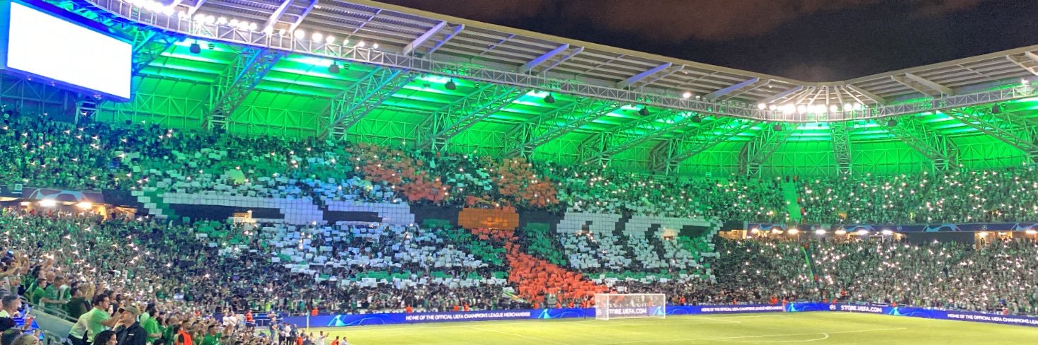 Ron Halevy banner