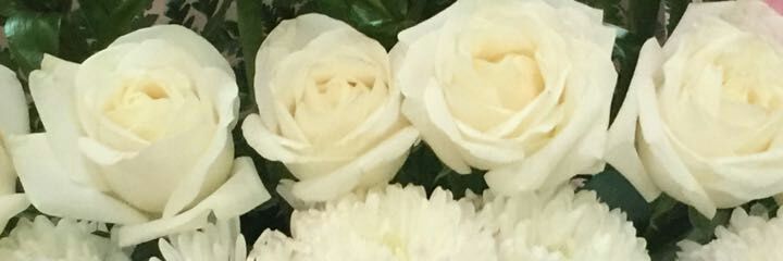 turky_eman's profile banner image