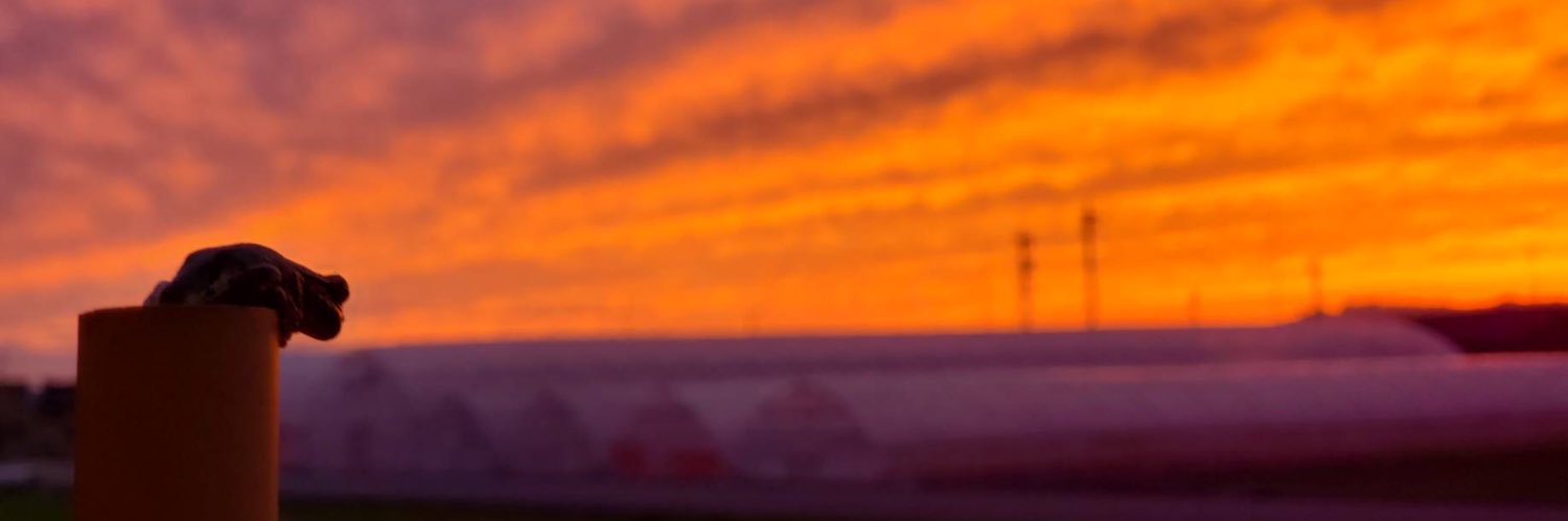 checkhomegen's profile banner image
