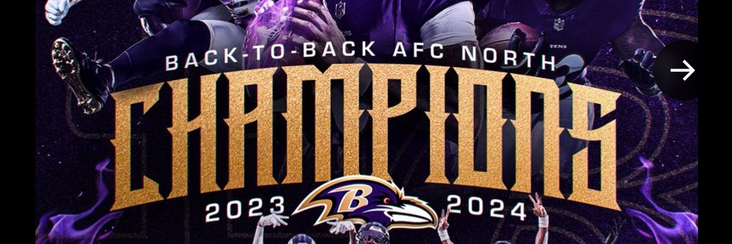 King Of The North banner
