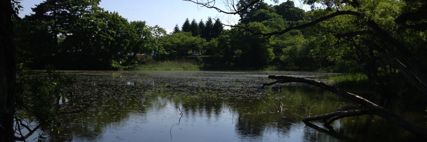 かす banner