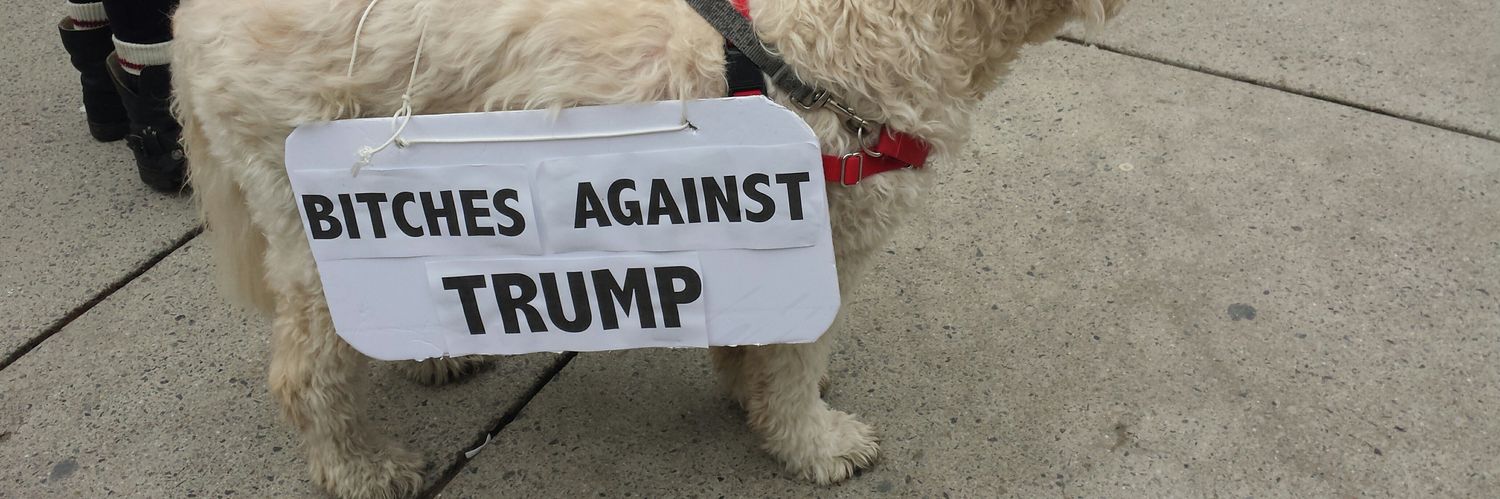 katie bridges banner