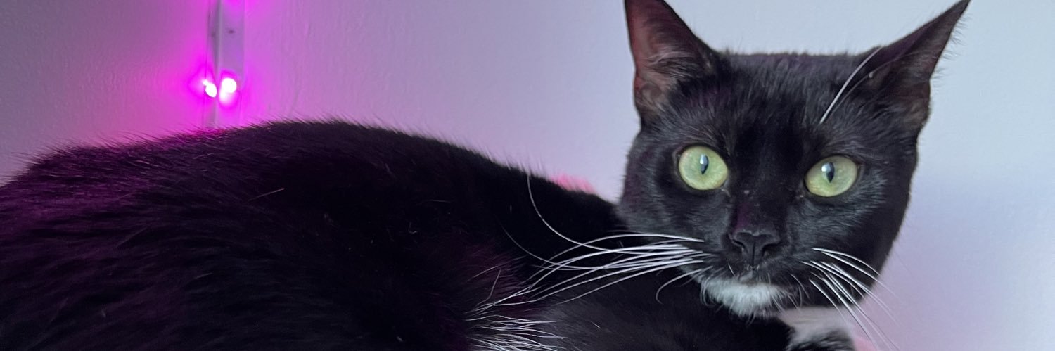 SallyRachelle's profile banner image