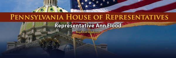 RepAnnFlood Profile Banner
