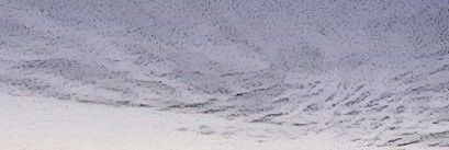 nara banner
