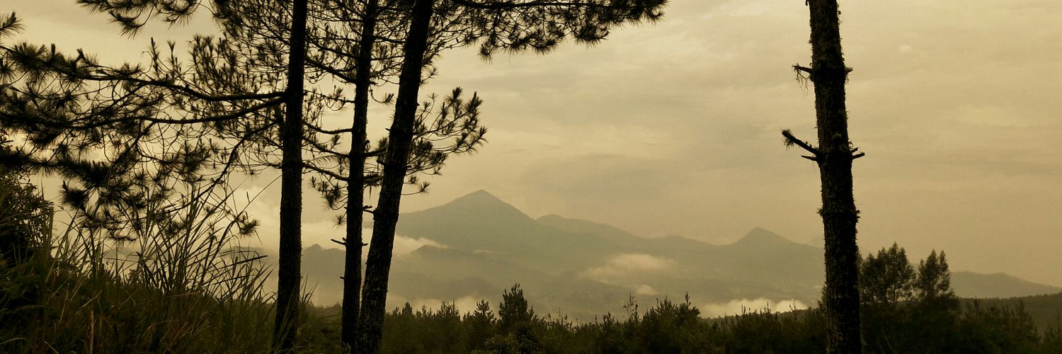 Indiana Primordi Abriansyah banner