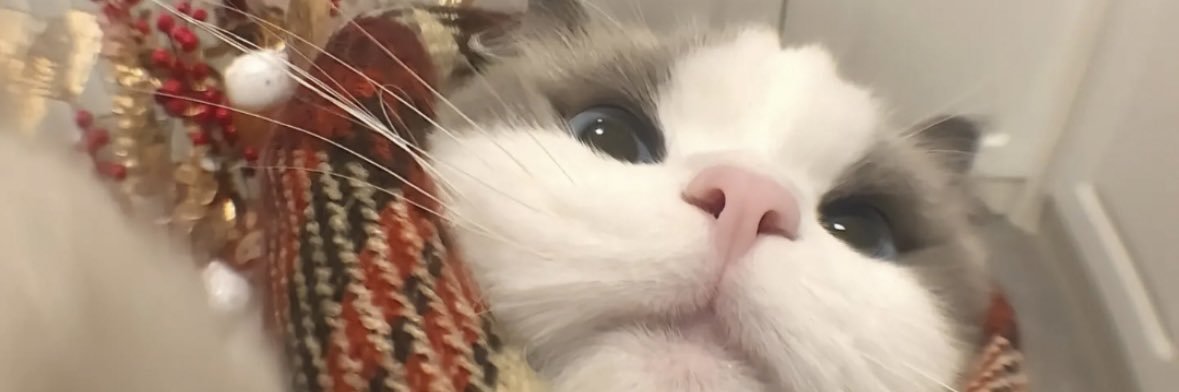 LiSATee43's profile banner image