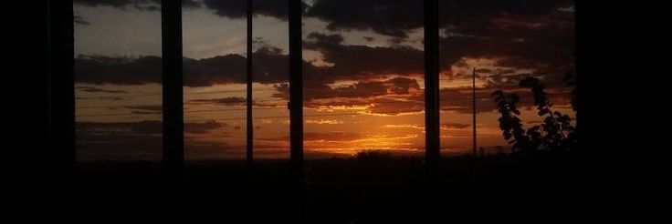 blu banner