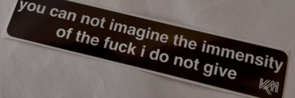 Lady Lucan 🇬🇧❤️🇺🇸 banner