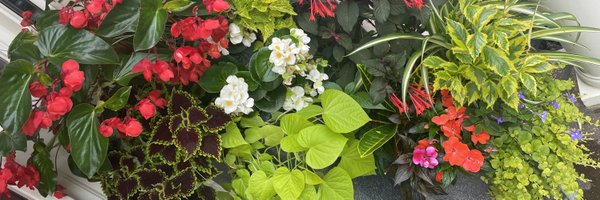 MrsARutledge Profile Banner