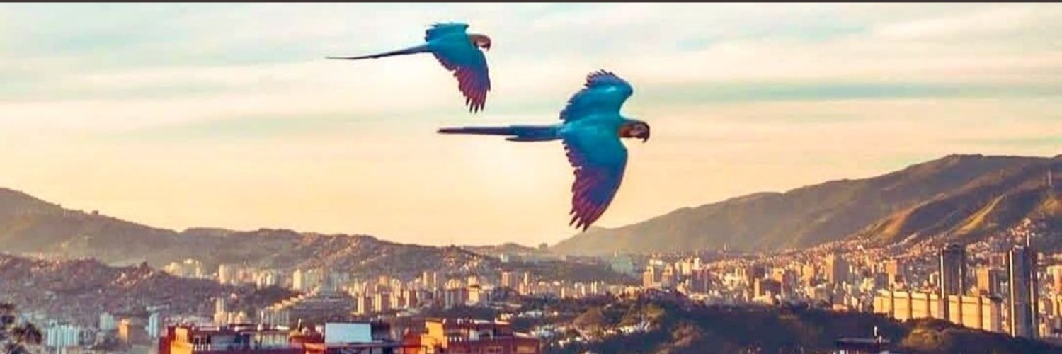 celso_alejandr's profile banner image
