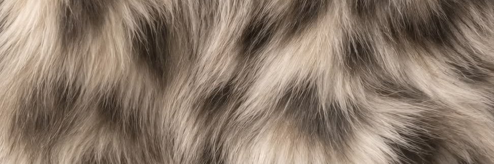 uwlipia's profile banner image