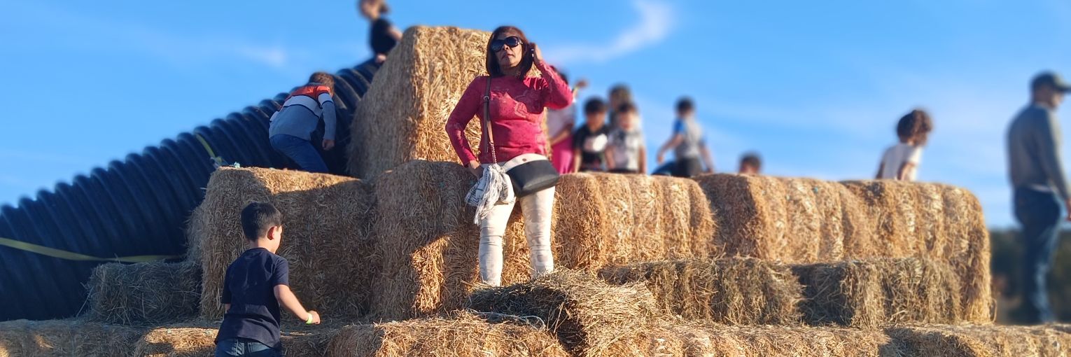 nellyrami29's profile banner image