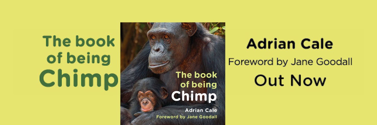 AdrianPCale's profile banner image