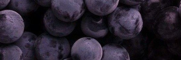 SeedlessGrape00 Profile Banner