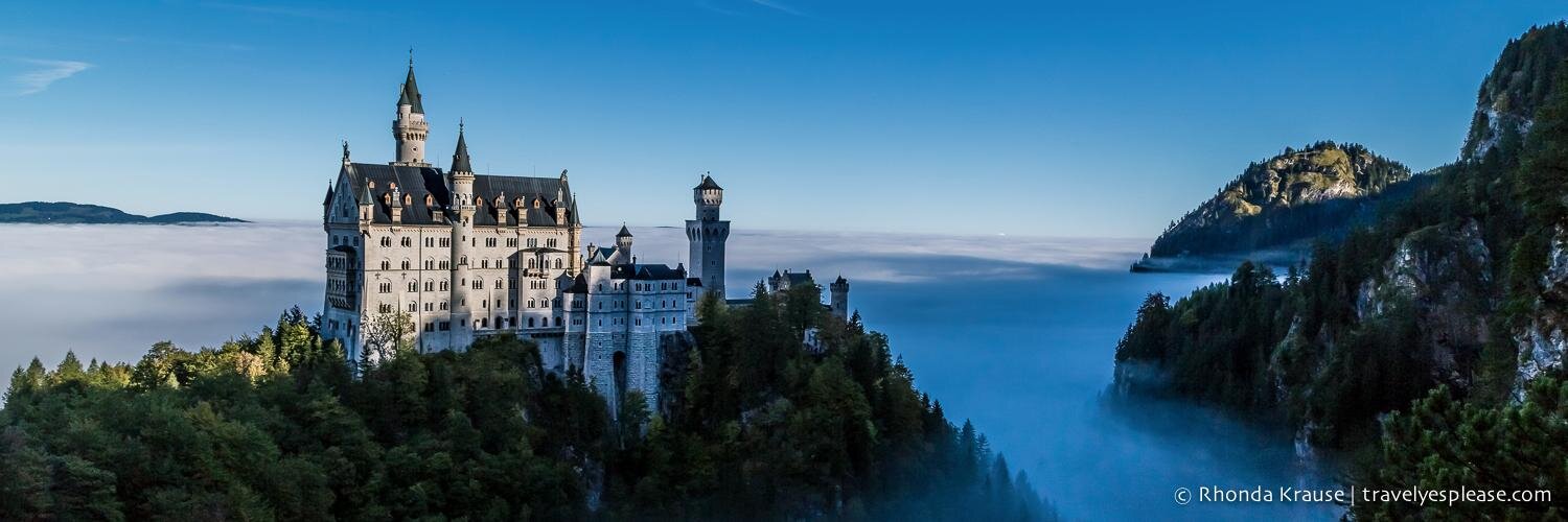 Rhonda Krause banner