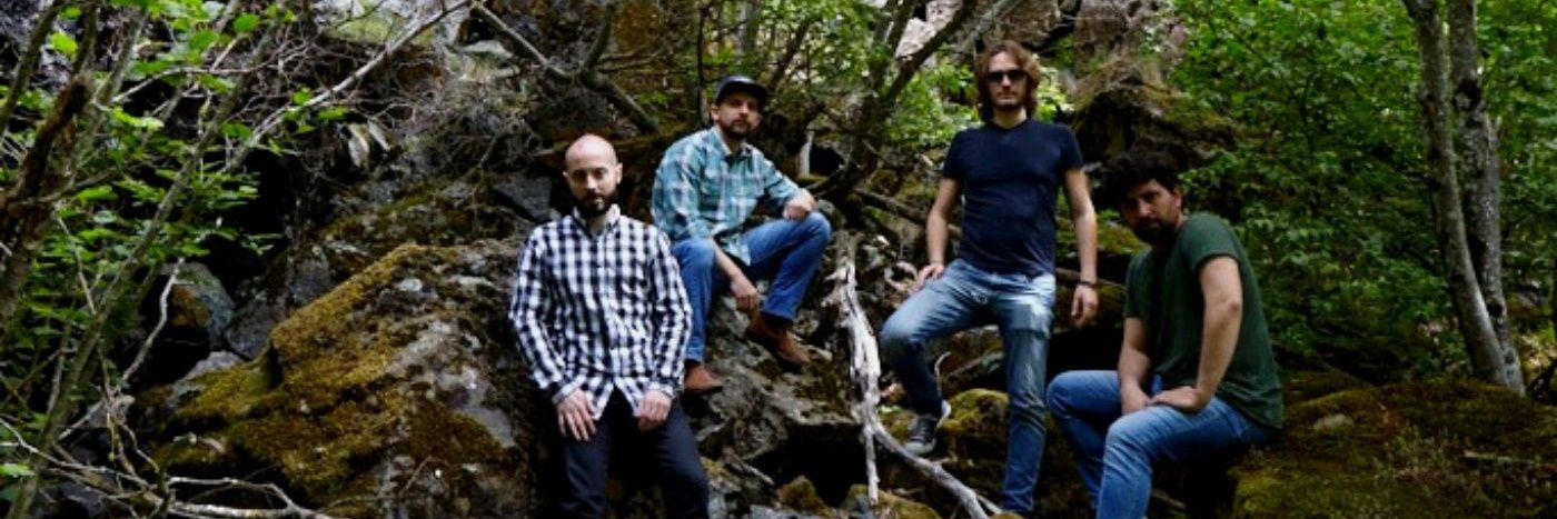 ZebraFinkBand's profile banner image