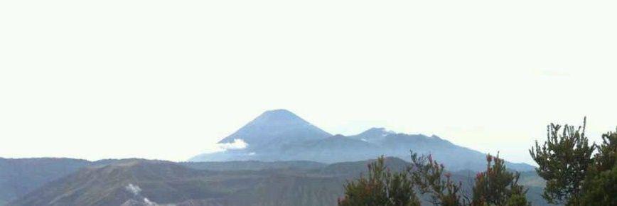 DNASTOREINDONESIA banner