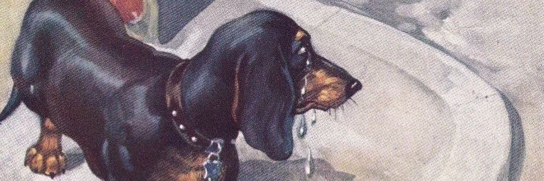 პედრო ლუკასი🥀. banner