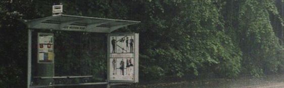 RANITA (𝐓𝐚𝐲𝐥𝐨𝐫'𝐬 𝐯𝐞𝐫𝐬𝐢𝐨𝐧)¹³ෂ banner