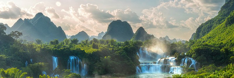 蔓延的蔷薇 banner