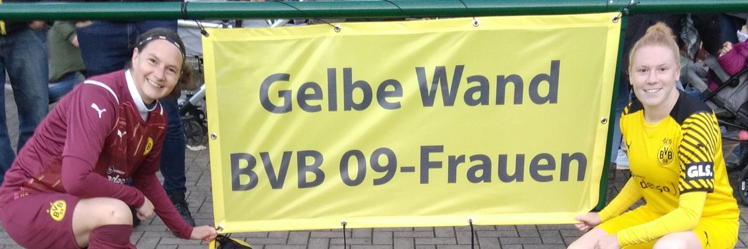 bvbrawi57's profile banner image