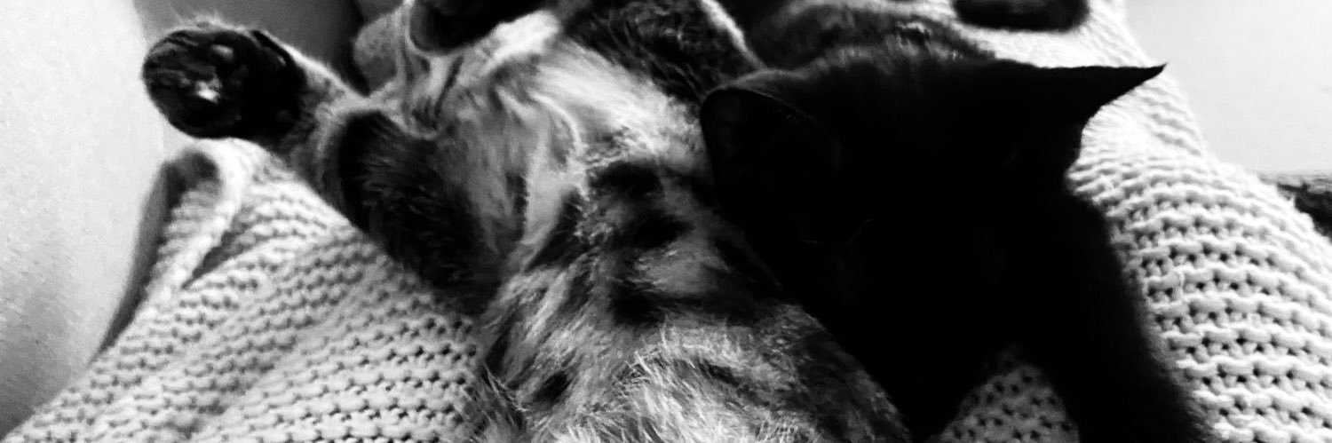 ClaireEBilling's profile banner image