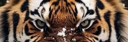 Raymond McCumber banner