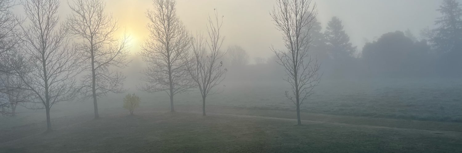 Rioux Olivette banner