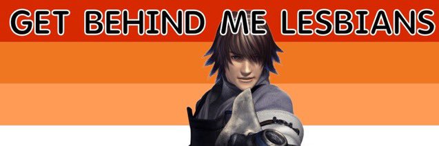 cavia vs capcom banner