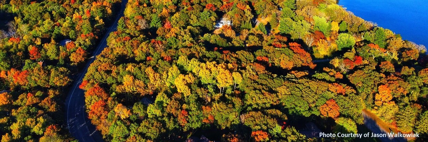 Crow Wing County banner