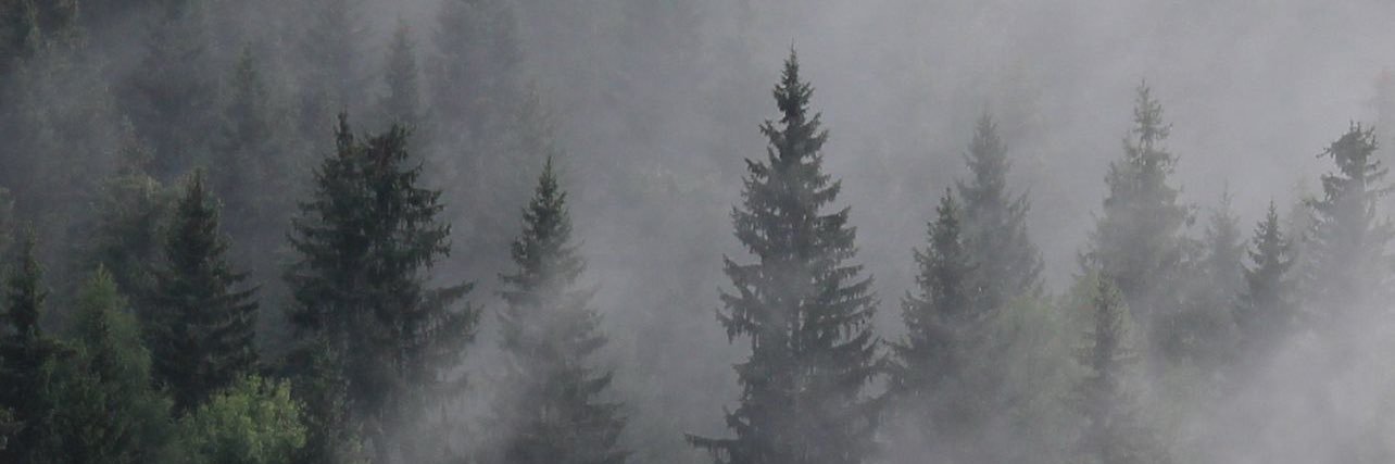 hazeldeeznuts's profile banner image