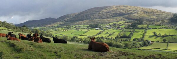 gastronfo Profile Banner