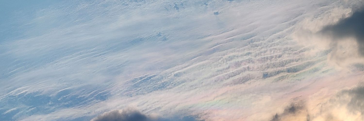 Venus banner