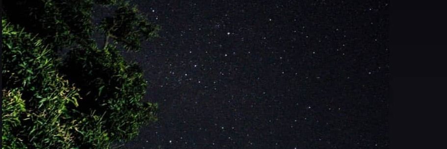 wtfaanya's profile banner image