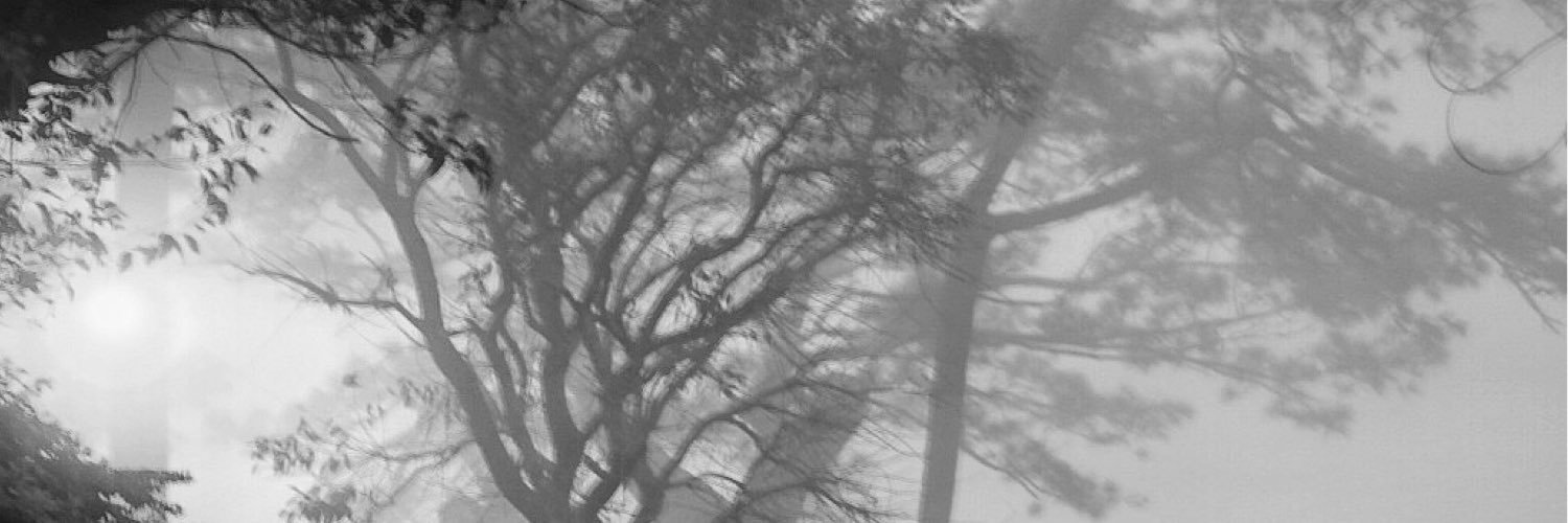 katetimbol's profile banner image