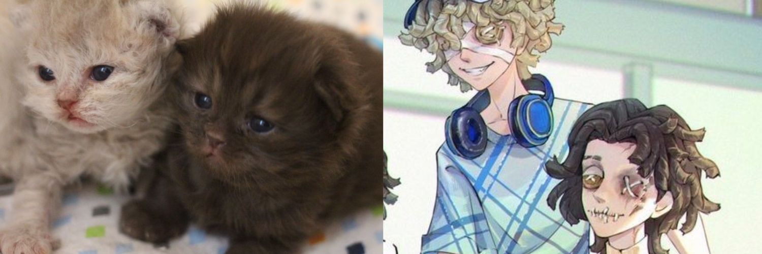 central chuuves 49% banner