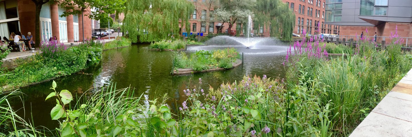 Biomatrix Water banner