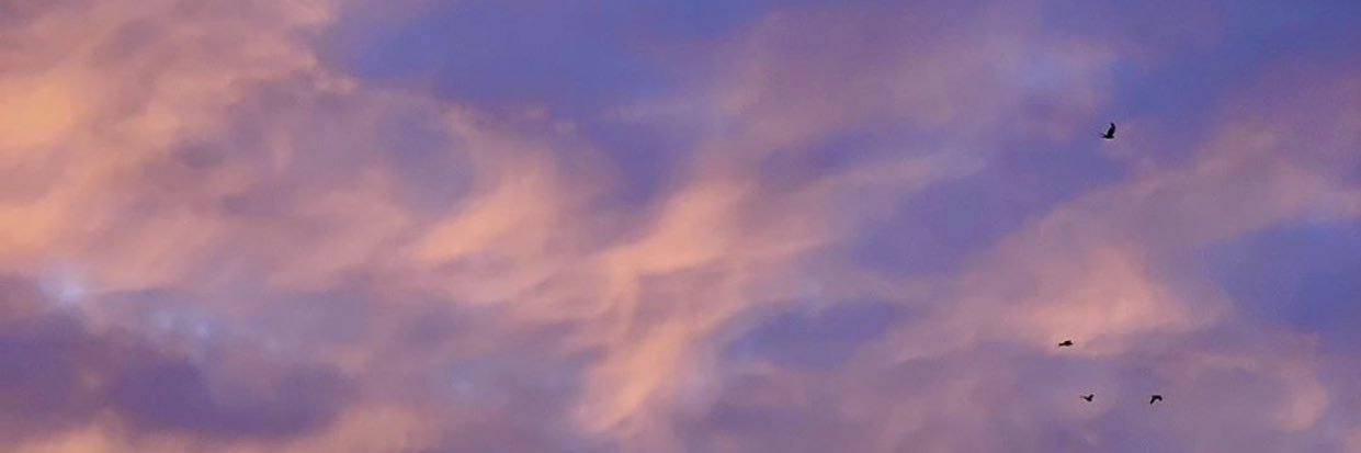 umulina banner