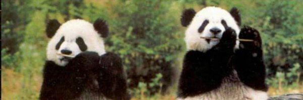 ForceDistTime Profile Banner