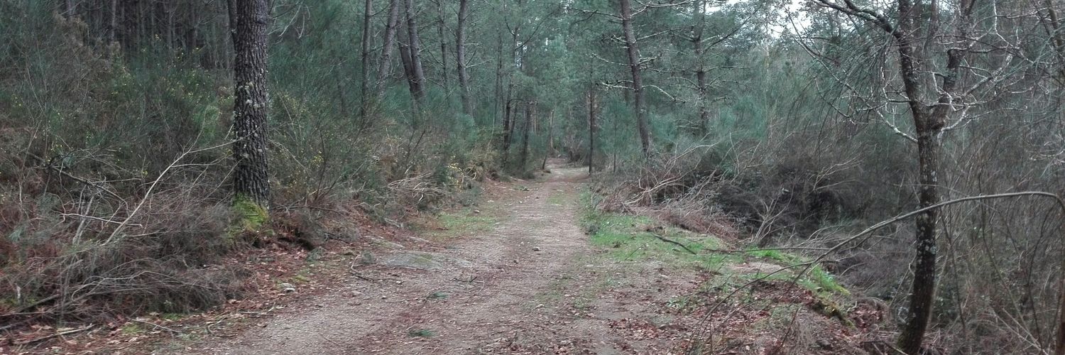 Hollymoward's profile banner image