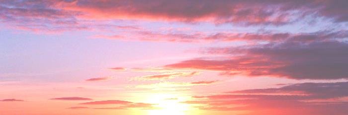 cath collins banner