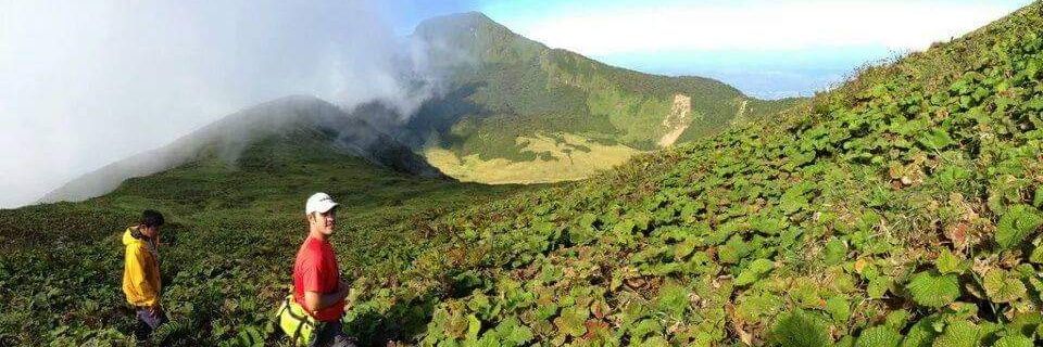 mount_emerald's profile banner image