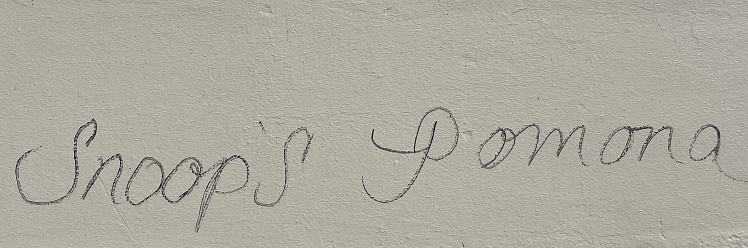 brooke_fenex's profile banner image
